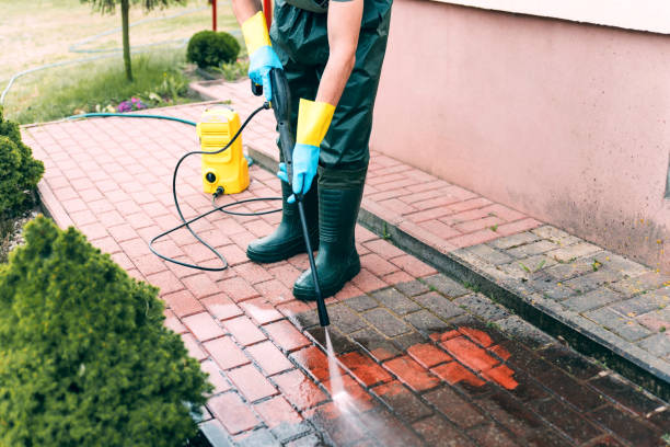 Best Animal Enclosure Cleaning  in Independence, WI